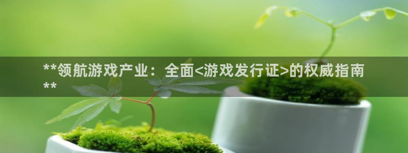 门徒平台设7O777：**领航游戏产业：全面<游戏发行证>的权威指南
**