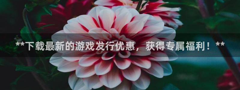 门徒娱乐下载手机版安装：**下载最新的游戏发行优惠，获得专属福利！**
