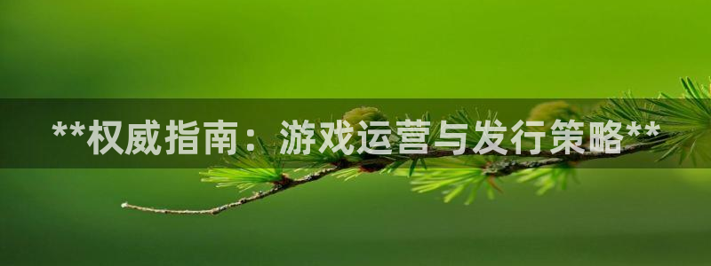门徒娱乐平台可靠吗：**权威指南：游戏运营与发行策略**