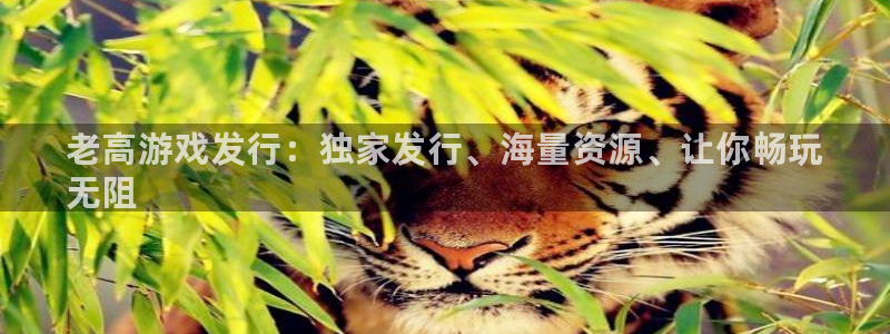门徒娱乐app代理加盟多少钱：老高游戏发行：独家发行、海量资源、让你畅玩
无阻