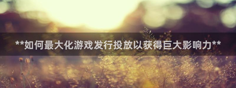 门徒娱乐有人被黑吗：**如何最大化游戏发行投放以获得巨大影响力**