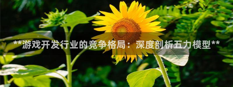 门徒娱乐的员工福利福利与价值：**游戏开发行业的竞争格局：深度剖析五力模型**