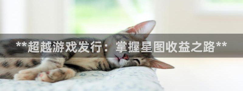 门徒娱乐联盟：**超越游戏发行：掌握星图收益之路**