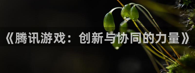 门徒娱乐有没有工资：《腾讯游戏：创新与协同的力量》