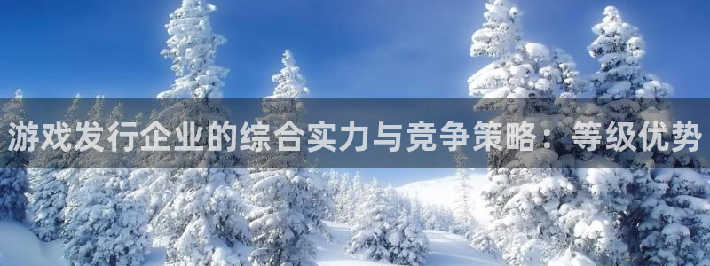 门徒娱乐是真的吗：游戏发行企业的综合实力与竞争策略：等级优势