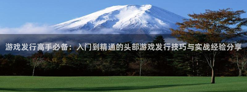 门徒娱乐负责人：游戏发行高手必备：入门到精通的头部游戏发行技巧与实战经验分享