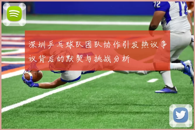 深圳乒乓球队团队协作引发热议争议背后的默契与挑战分析