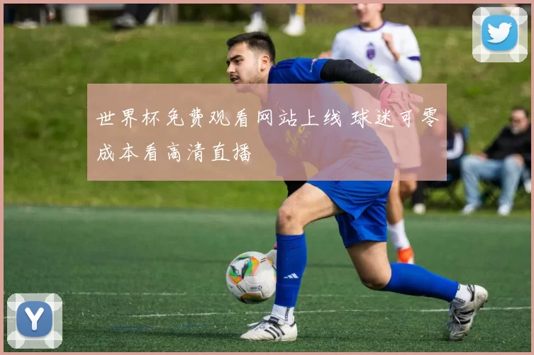 世界杯免费观看网站上线 球迷可零成本看高清直播