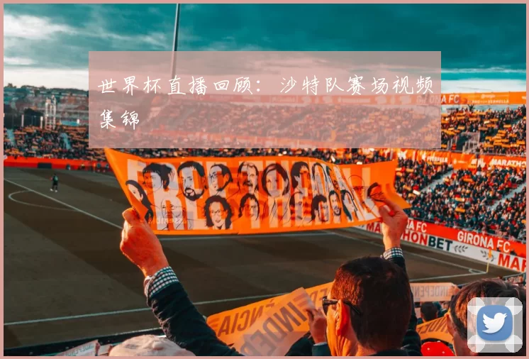 世界杯直播回顾:沙特队赛场视频集锦
