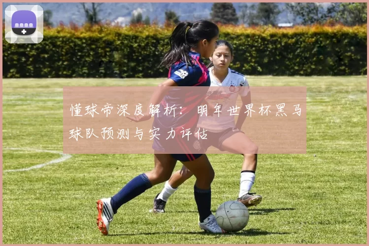 懂球帝深度解析:明年世界杯黑马球队预测与实力评估