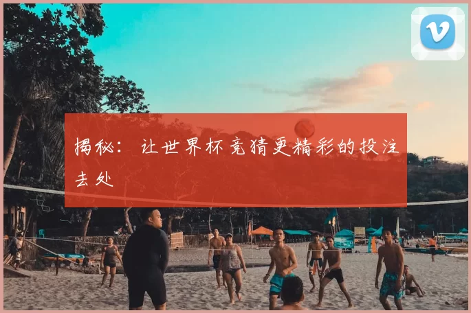揭秘：让世界杯竞猜更精彩的投注去处