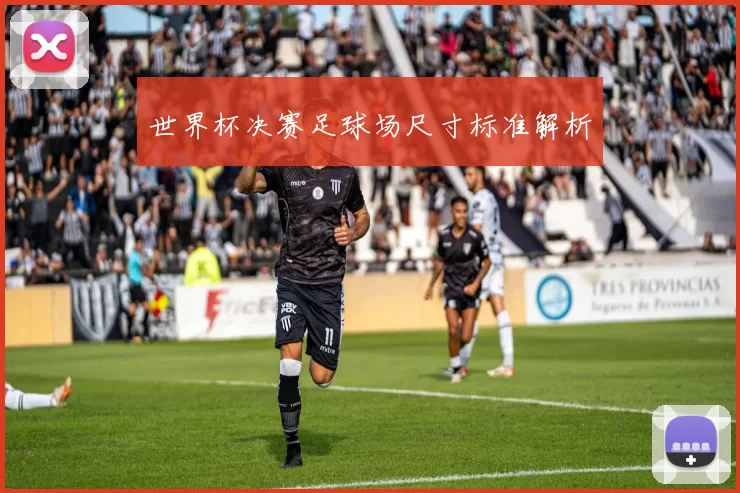 世界杯决赛足球场尺寸标准解析